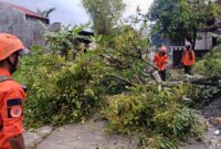 Angin Puting Beliung Terjang Kudus, 221 Rumah Warga Mengalami Kerusakan Angin Puting Beliung Terjang Kudus, 221 Rumah Warga Mengalami Kerusakan
