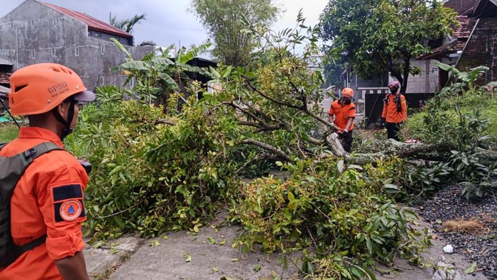 Angin Puting Beliung Terjang Kudus, 221 Rumah Warga Mengalami Kerusakan