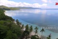 25 Kg Kokain Diduga Berasal dari Kolombia Ditemukan Terdampar di Pantai Selayar