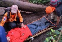 3 Pendaki Wanita Dievakuasi dari Gunung Dempo Usai Alami Hipotermia dan Cedera 3 Pendaki Wanita Dievakuasi dari Gunung Dempo Usai Alami Hipotermia dan Cedera