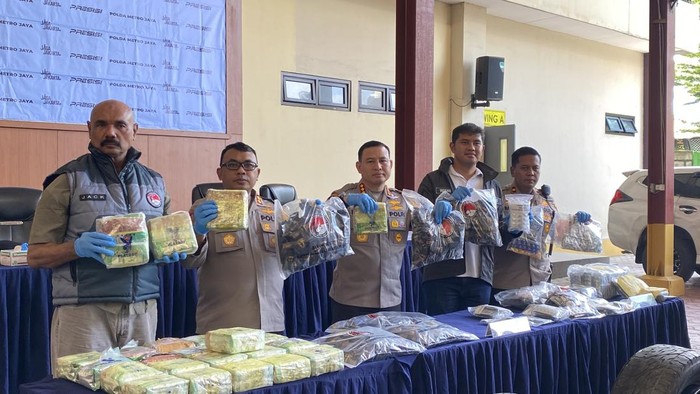 Polisi Amankan Pengedar Narkoba Jaringan Medan–Jakarta, Sita 26,7 Kg Ganja