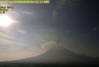 Gunung Semeru Erupsi 4 Kali Pagi Ini, Tinggi Kolom Abu Capai 1,2 Km