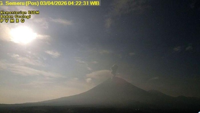 Gunung Semeru Erupsi 4 Kali Pagi Ini, Tinggi Kolom Abu Capai 1,2 Km