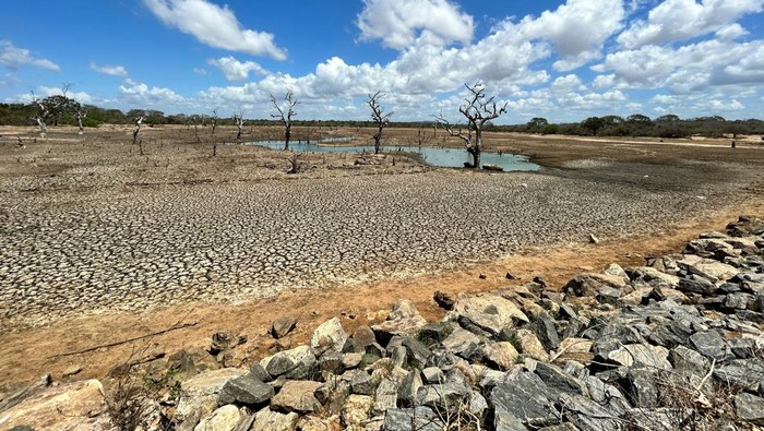 Daftar Wilayah Indonesia yang Mulai Masuk Musim Kemarau pada April 2026