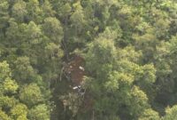 Titik Heli Jatuh di Kalbar Ditemukan, Kondisi 8 Penumpang Belum Diketahui