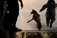 Profil SEAL Team Six, Pasukan Rahasia di Balik Misi Penyelamatan Pilot AS di Iran