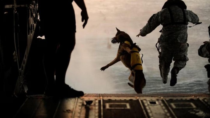 Profil SEAL Team Six, Pasukan Rahasia di Balik Misi Penyelamatan Pilot AS di Iran