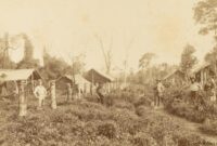 Nueva Germania, Proyek Arya yang Gagal di Paraguay