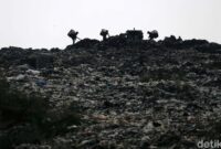 Kadis LH DKI Bakal Optimalkan RDF Rorotan Atasi Masalah Sampah Bantargebang